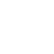 Shark Shark